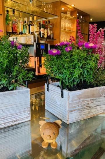 Weinhotel Eltvinum Эльтвилле Экстерьер фото